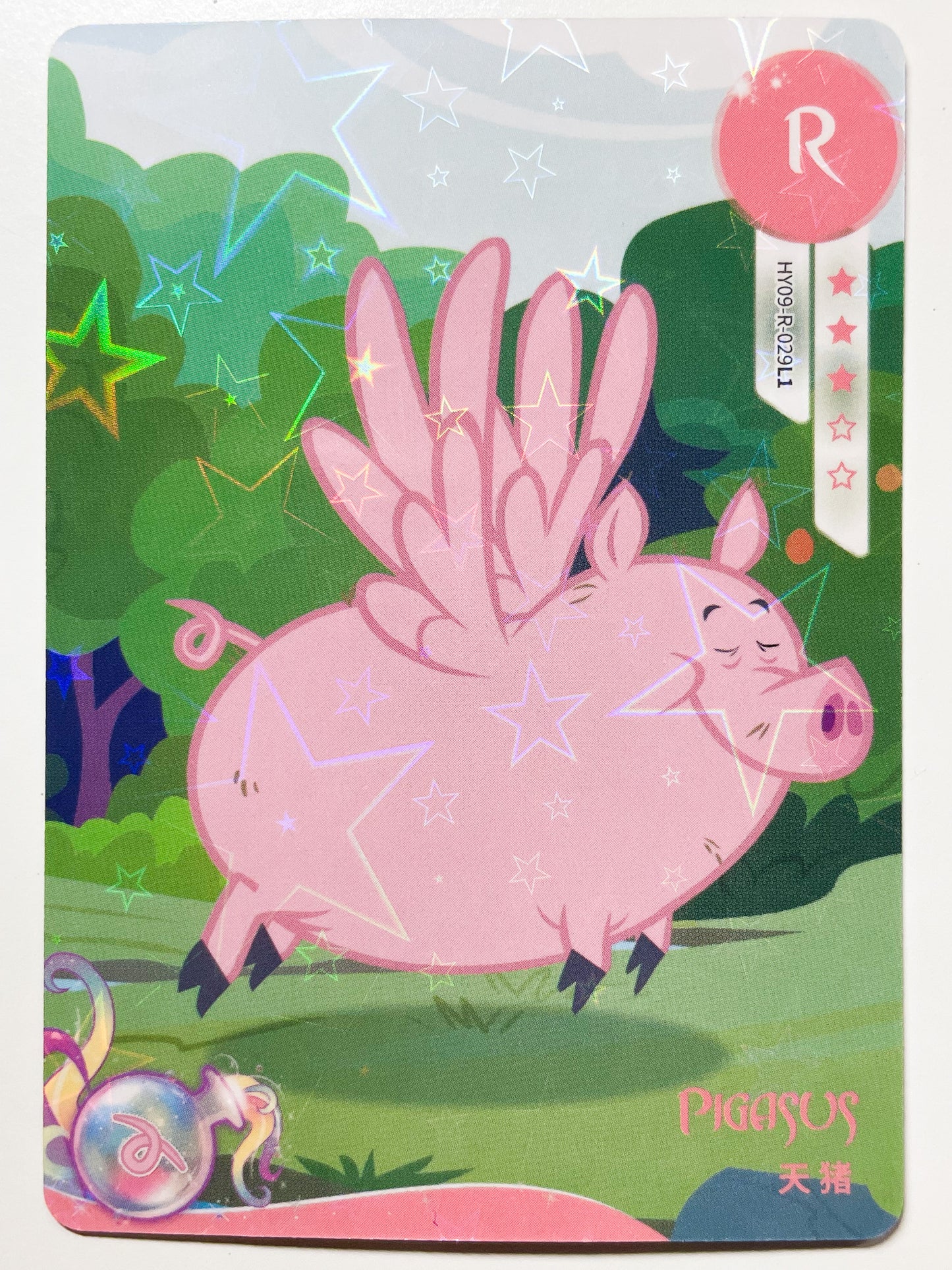 Pigasus (R) HY09-R-029 L1